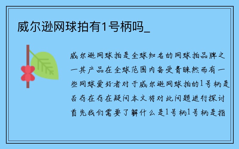 威尔逊网球拍有1号柄吗_