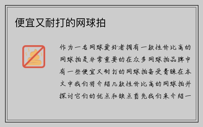 便宜又耐打的网球拍